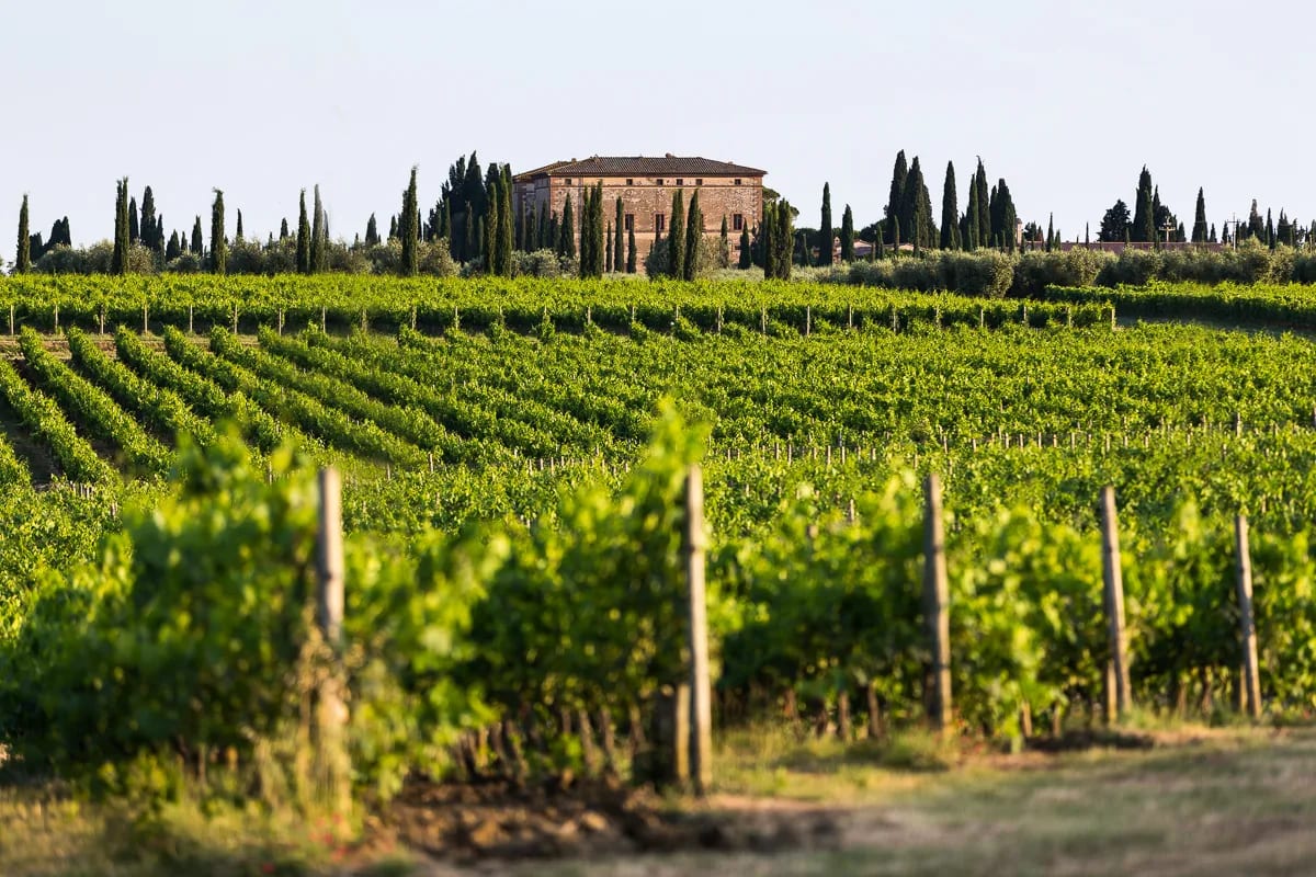 How the World’s Largest Winery Built an AI Stack That Ages Well with Shakudo