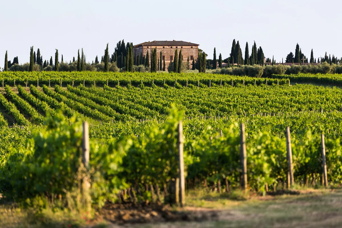 How the World’s Largest Winery Built an AI Stack That Ages Well with Shakudo