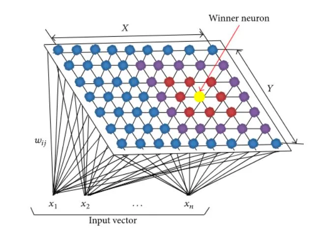 Self-Organizing Maps (SOMs)