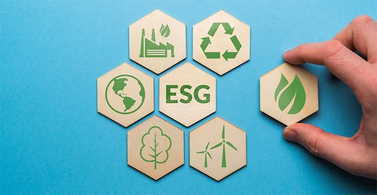 Automate Custom Sustainability Report Population